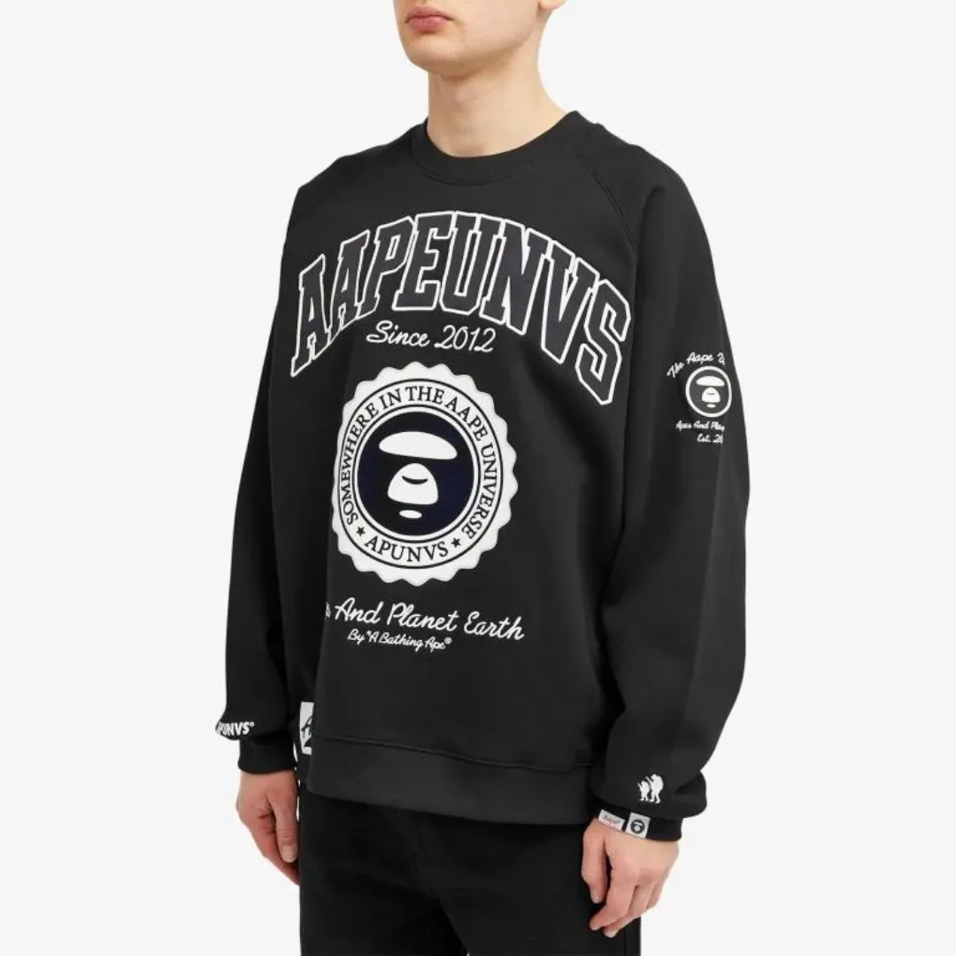 A BATHING APE  |Crew Neck Unisex Street Style Long Sleeves Cotton Oversized