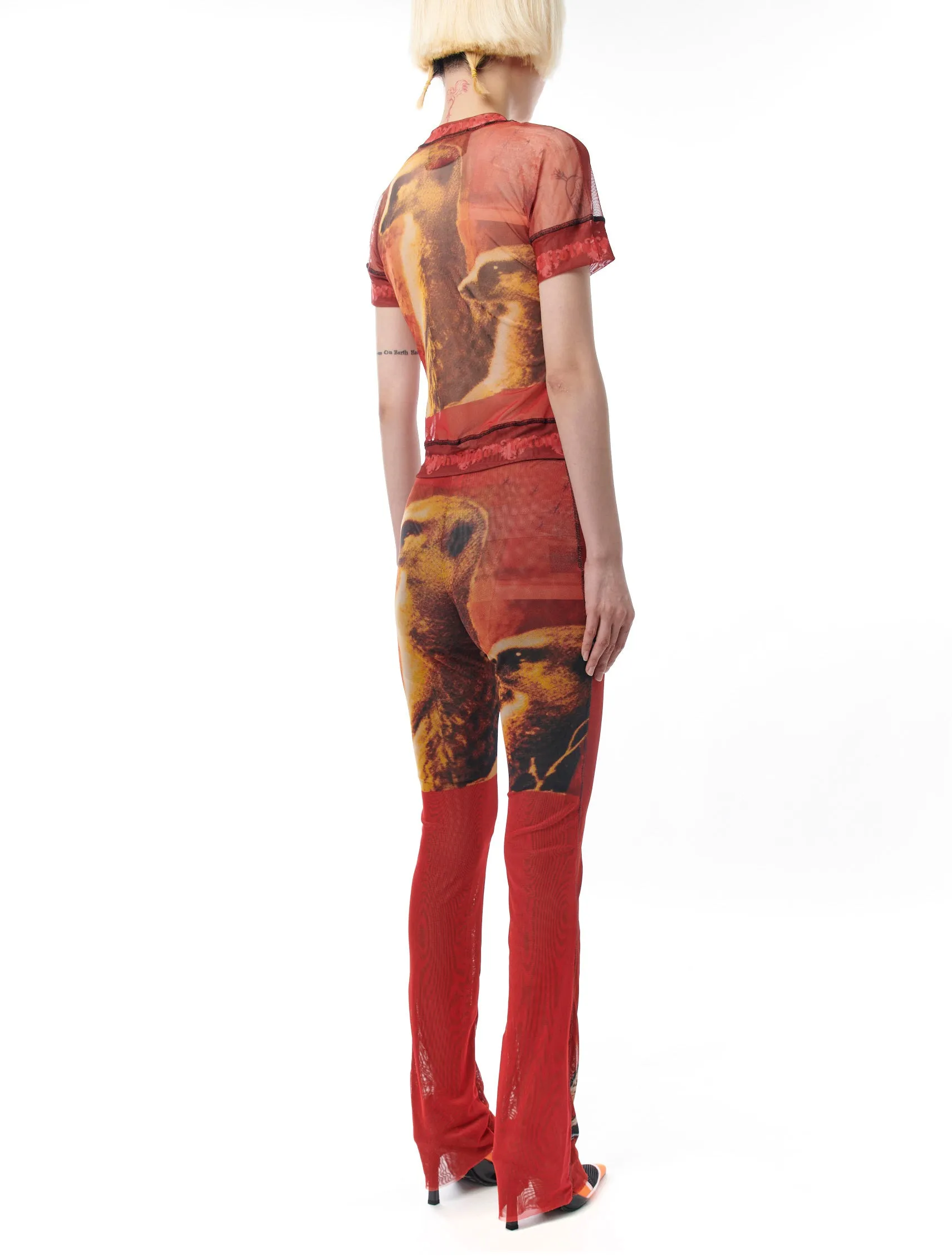 Ottolinger Mesh Cat Print Pants